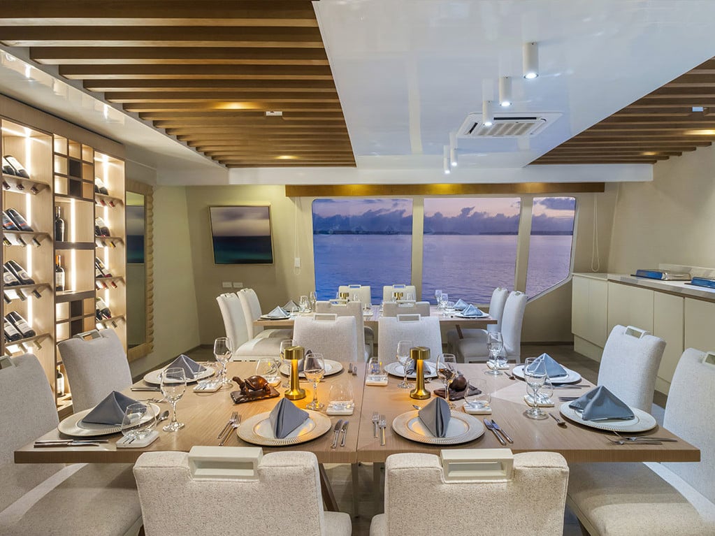 Endemic - Catamaran in Santa Cruz