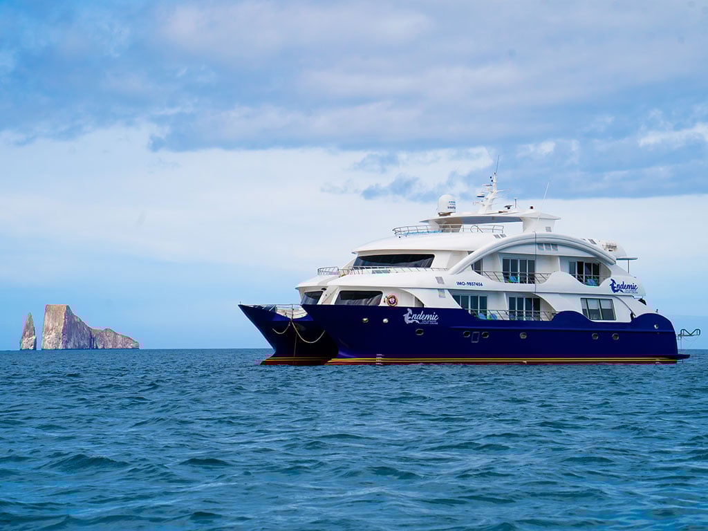 Endemic - Catamaran in Santa Cruz