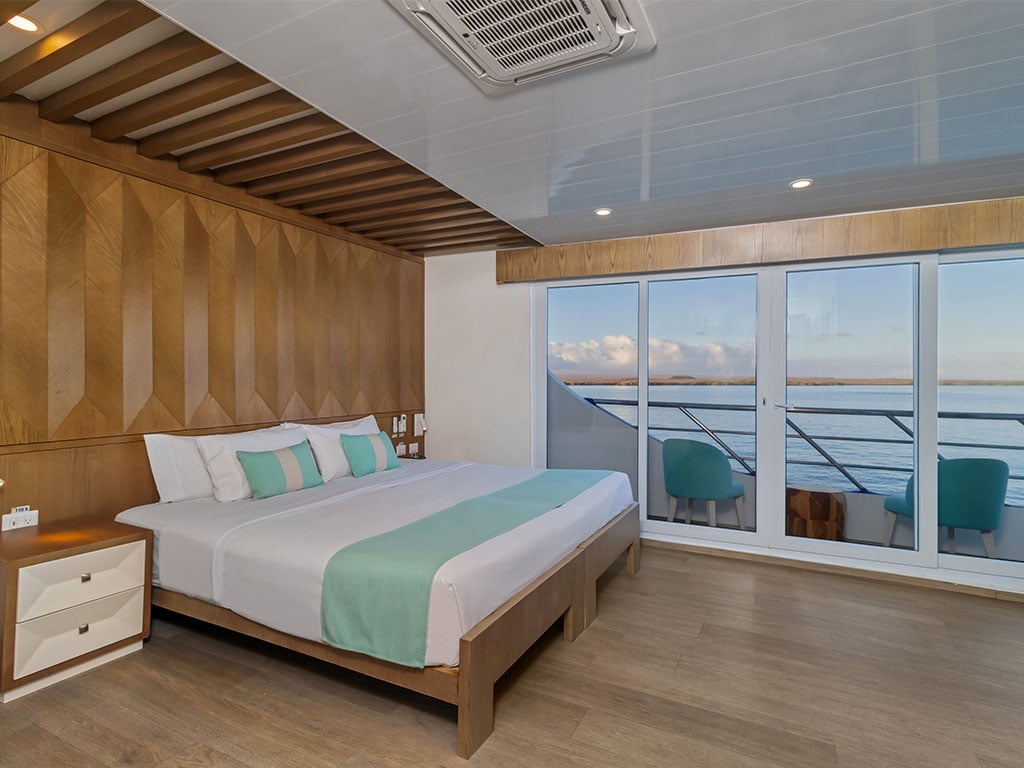 Endemic - Cabin 3 - Catamaran in Santa Cruz