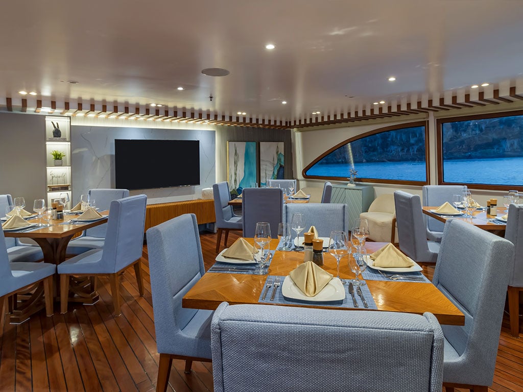 Ocean Spray - Cabin 3 - Catamaran in Santa Cruz