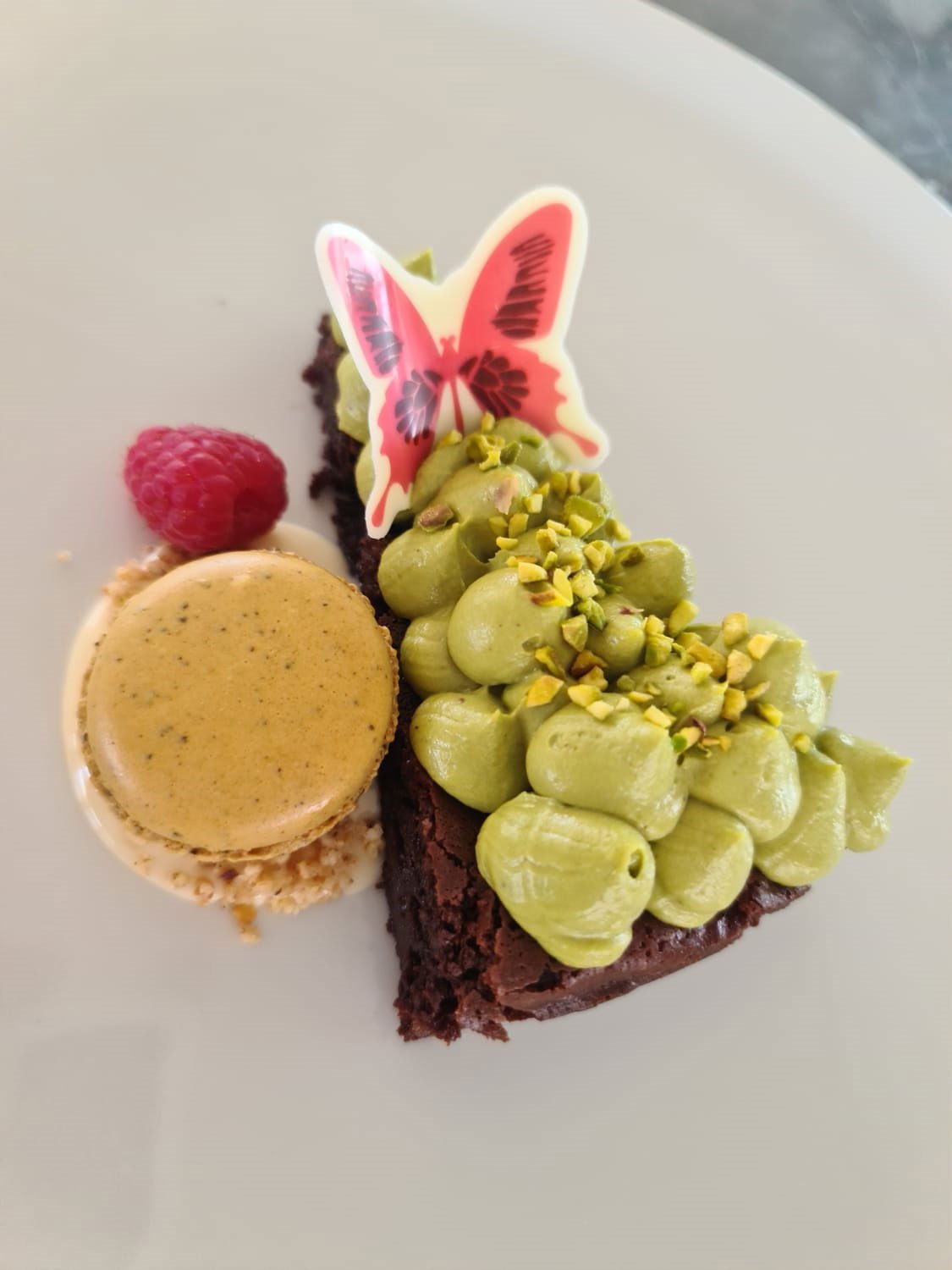 OPAL - Catamaran in Split