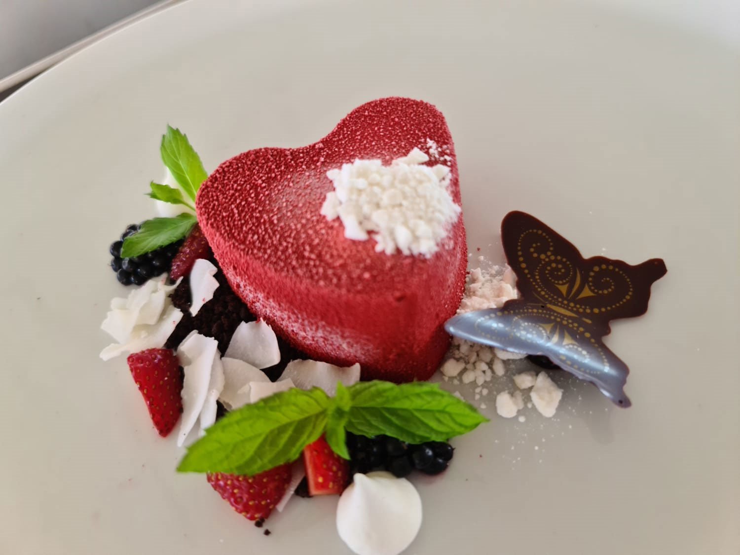 OPAL - Catamaran in Split