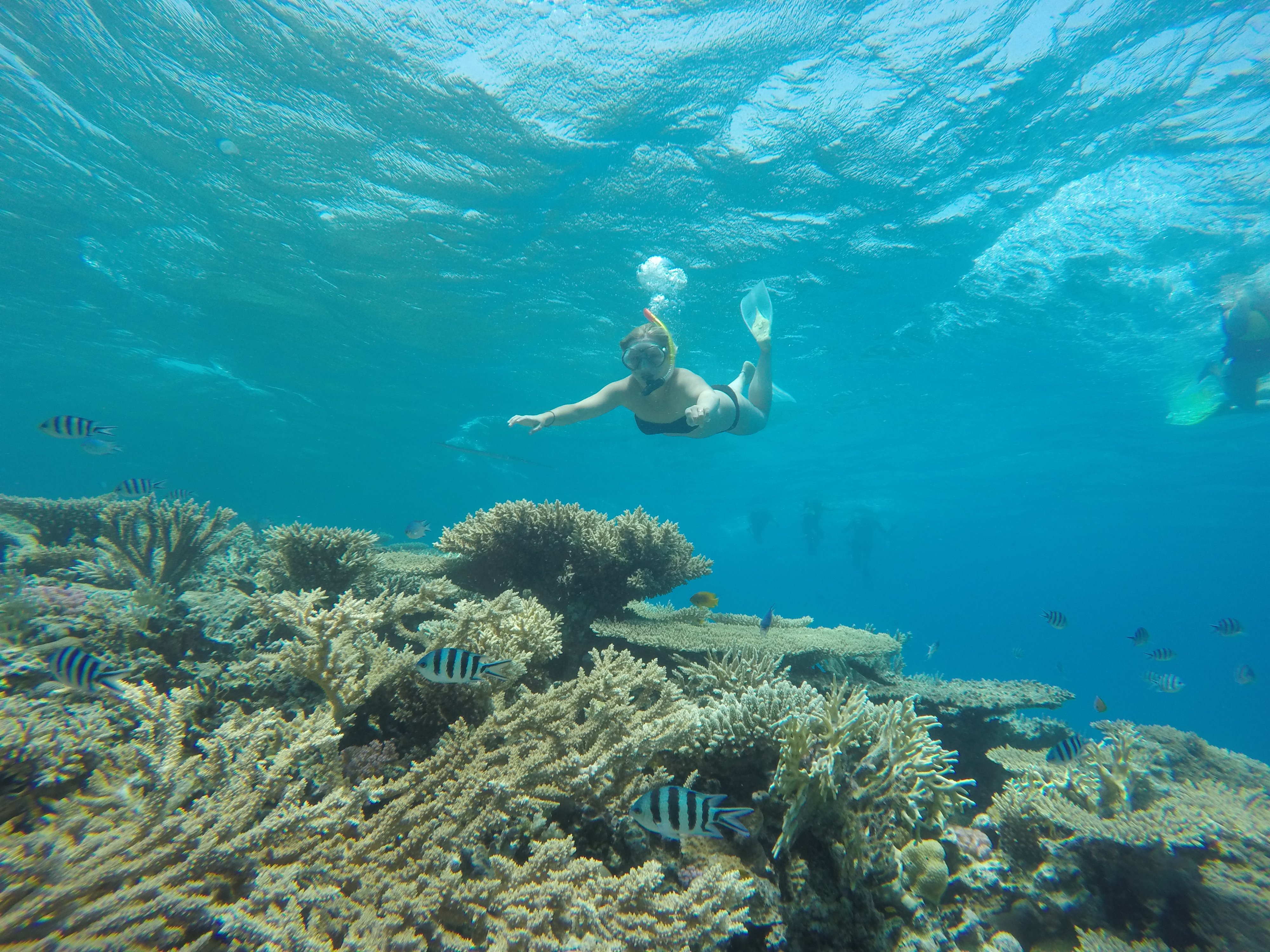 Snefro Pearl - Motor Yacht in Sharm El Sheikh 2