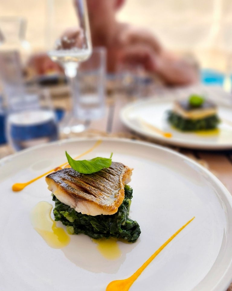 SINATA - Catamaran in Rogoznica