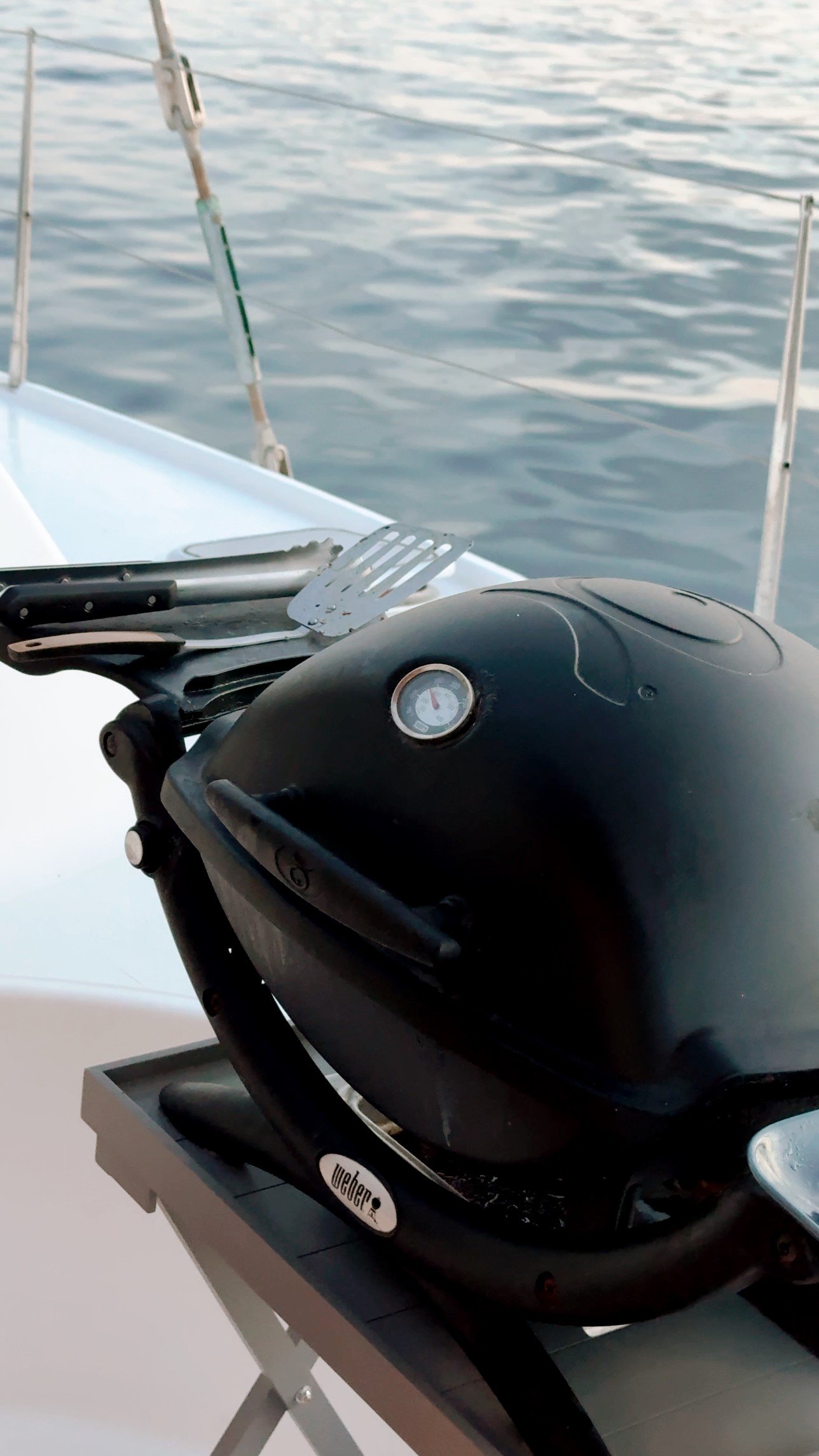 Alion - Catamaran in Altea