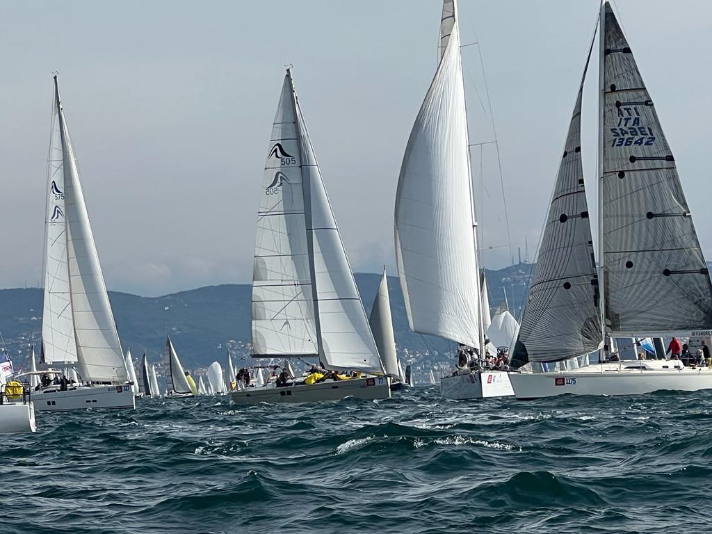 Wrungel - Sailboat in Rovinj