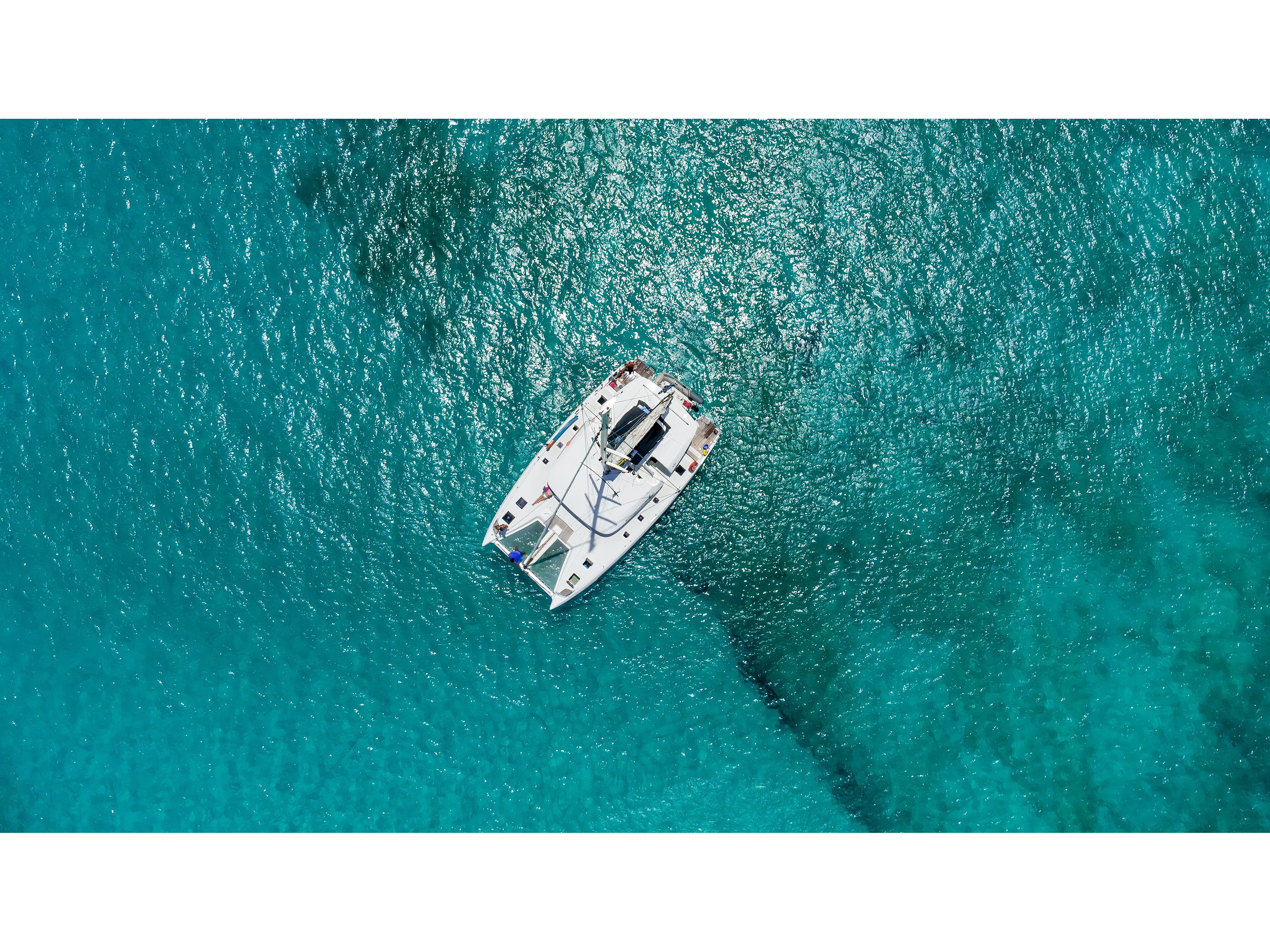 Tigrus - Catamaran in Providence