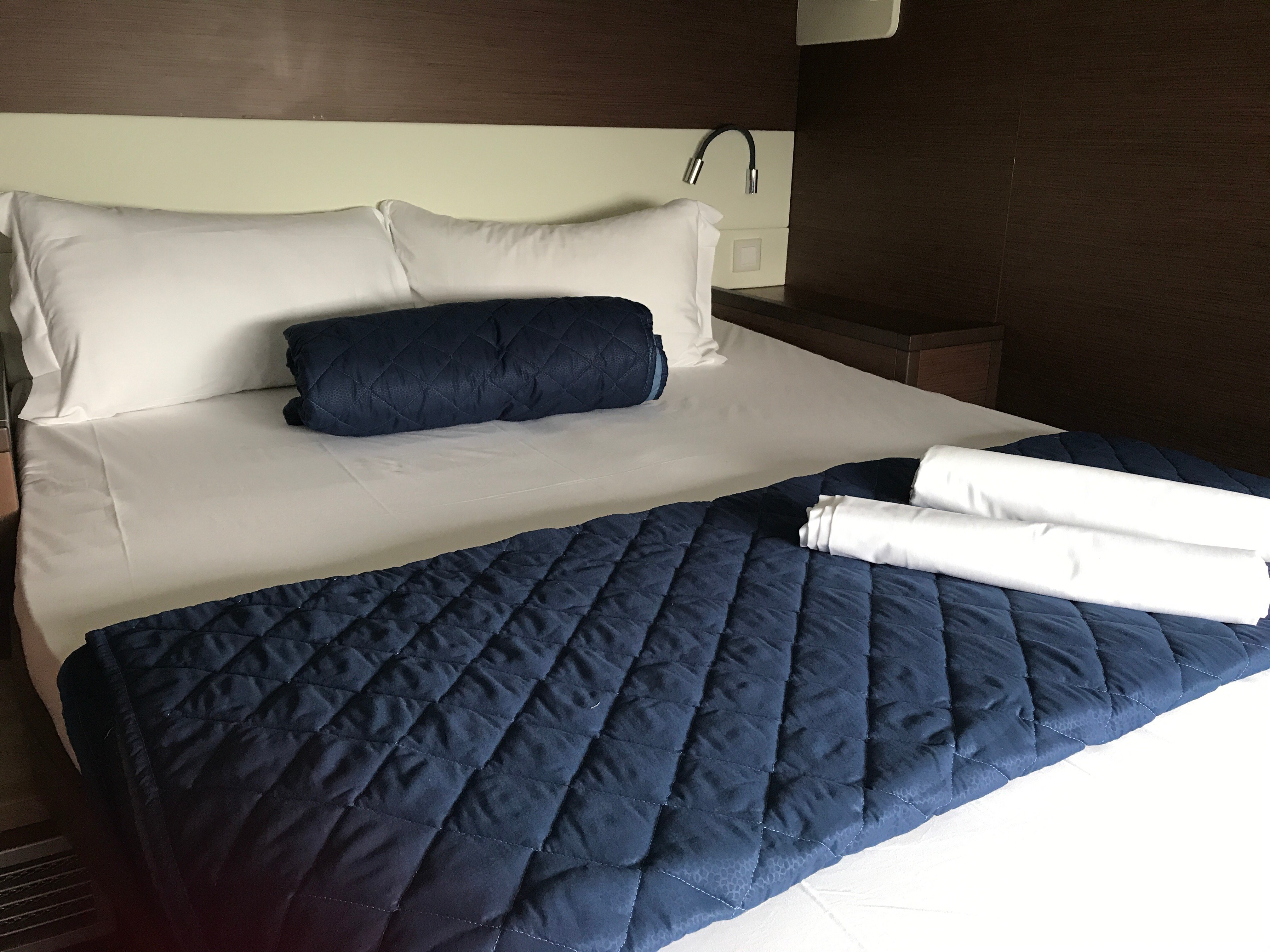 Dugongo II (TOR) - Catamaran in Wickhams Cay 2