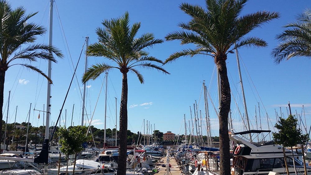 Fireball - Sailboat in S'Arenal