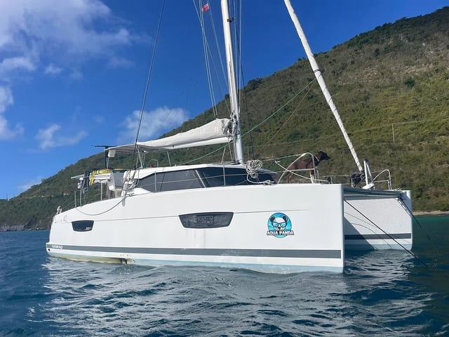 Aqua Panda - Catamaran in Road Town