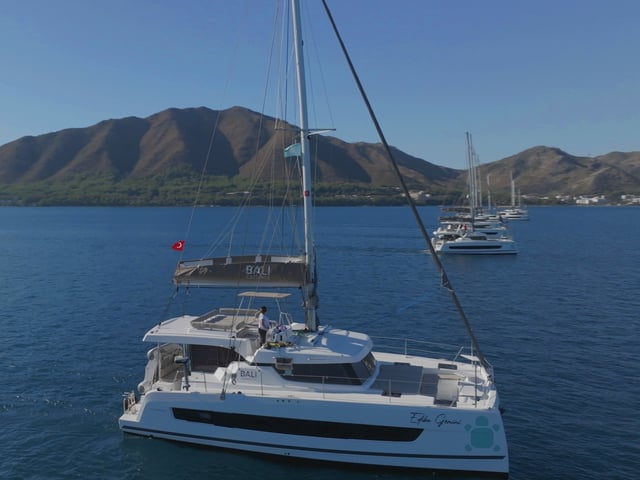 Gemini - Katamaran içinde Sarıana