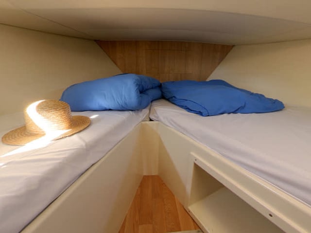 Elegance - Comfort 19 - Motor Yat içinde Homps